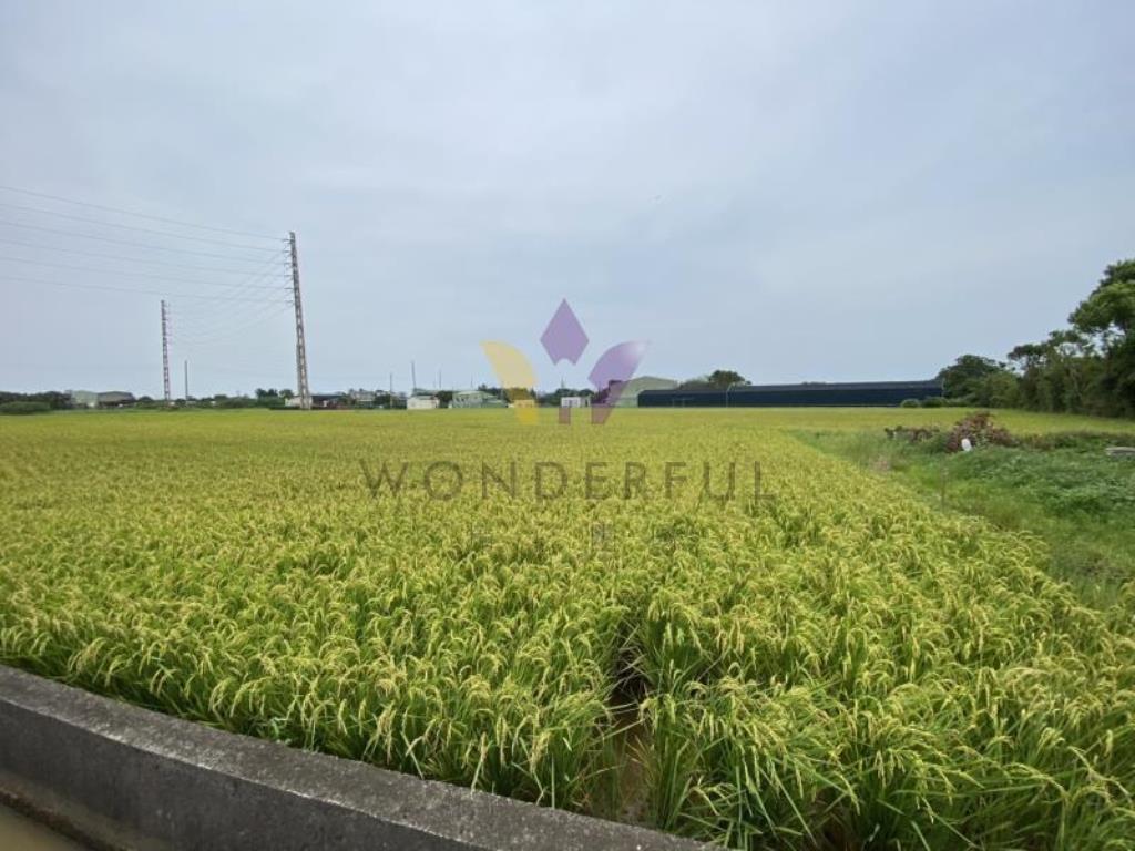 [精彩]新屋清華高中合法資材室