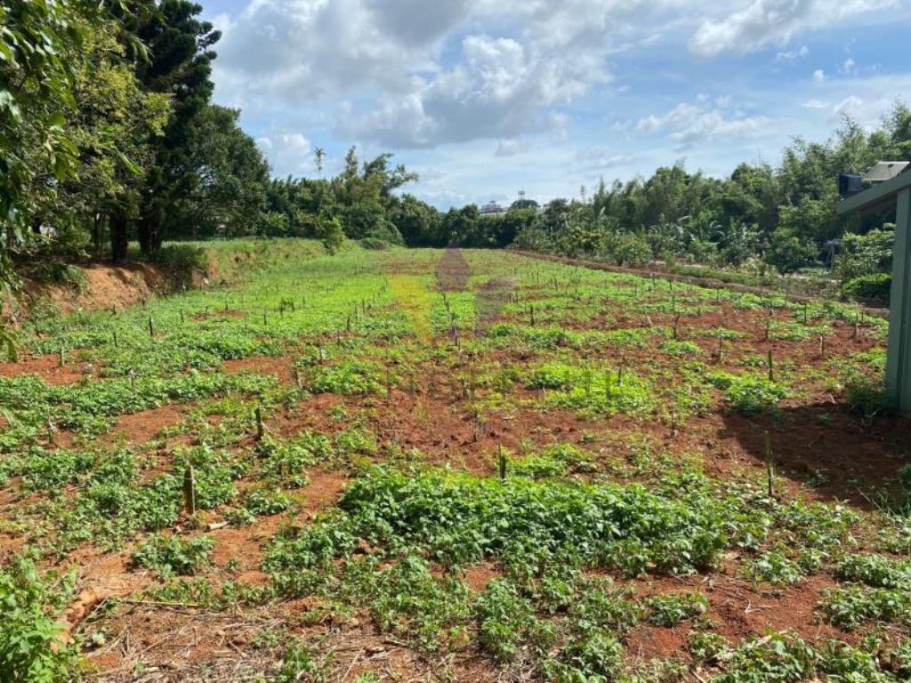[精彩]中壢大崙國中合法資材室