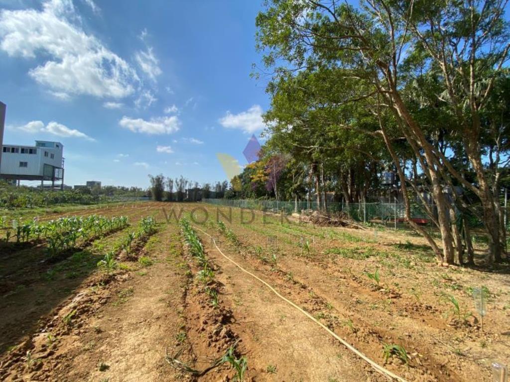 [精彩]新屋市區開心農場資材室