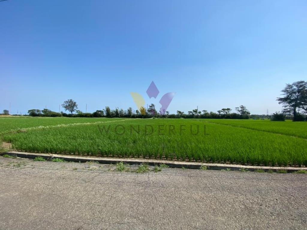 [精彩]永安國小旁美農地