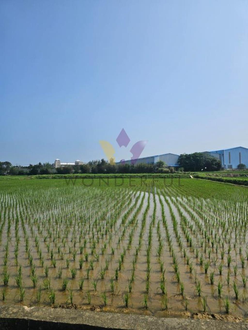 [精彩]新屋反恐訓練中心美田