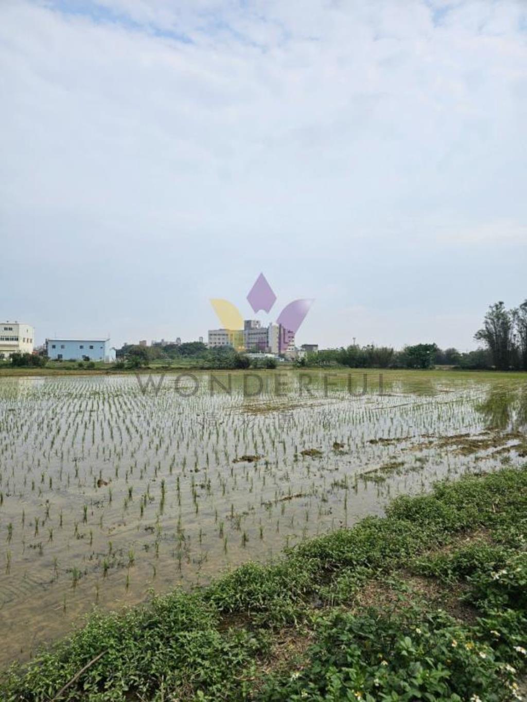 [精彩]新屋福九路都內農