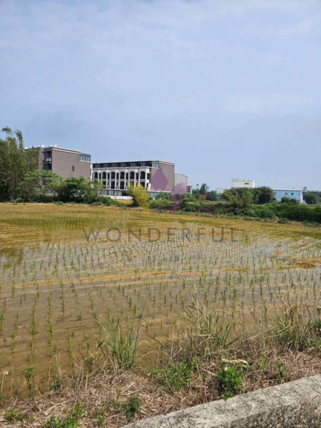 [精彩]新屋福九路都內農