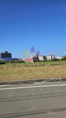 [精彩]新屋東明國小美農地