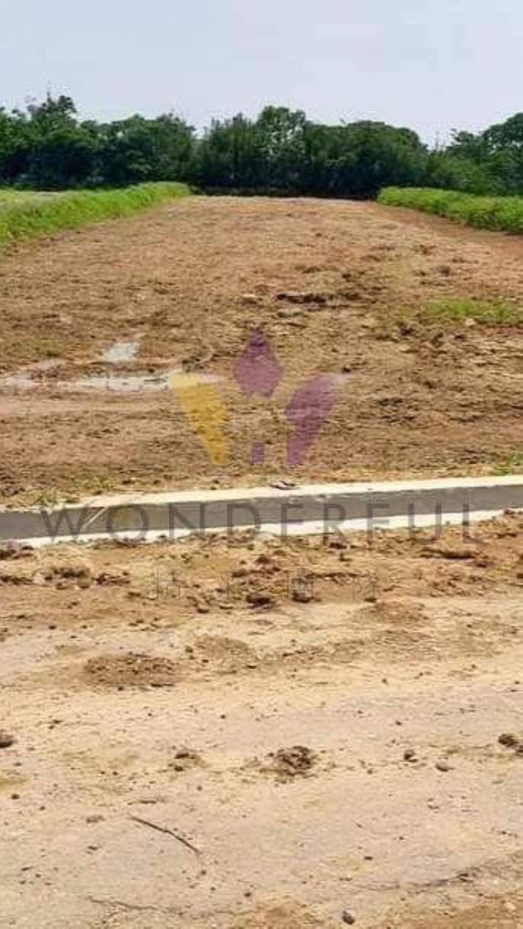 [精彩]新屋東明國小美農地