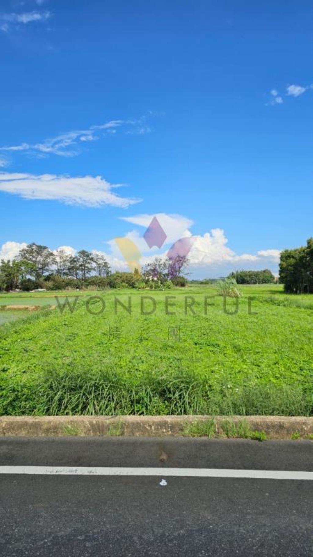 [精彩]新屋新湖路美農地