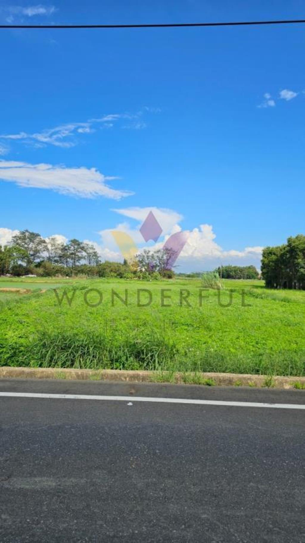 [精彩]新屋新湖路美農地