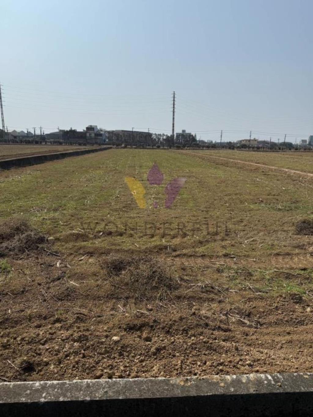 [精彩]新屋寶樹路美田