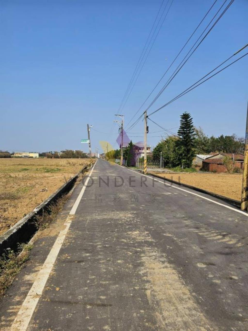 [精彩]新屋寶樹路美田