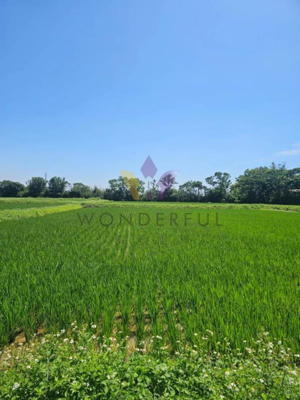 [精彩]新屋寶樹路前後臨路小坪數農地