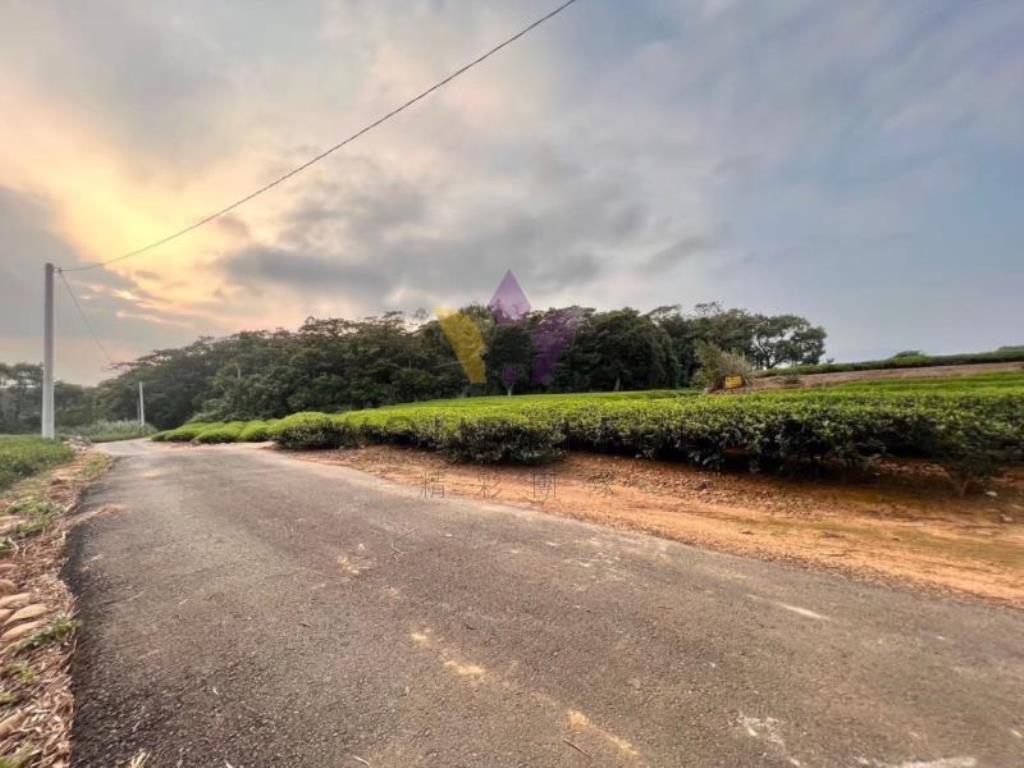[精彩]龍潭北坑段茶園