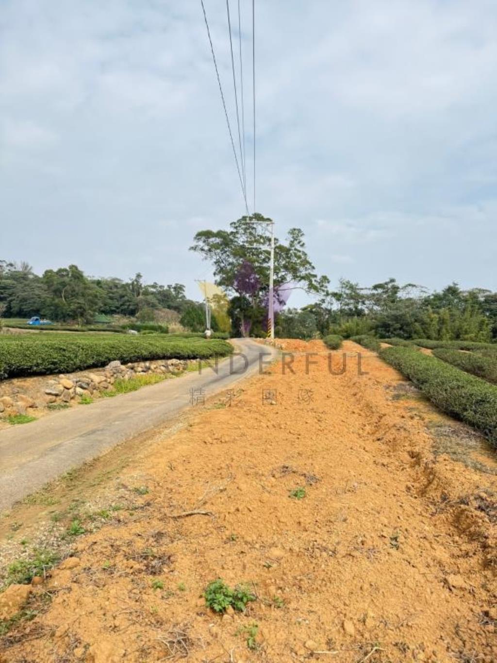 [精彩]龍潭北坑段茶園