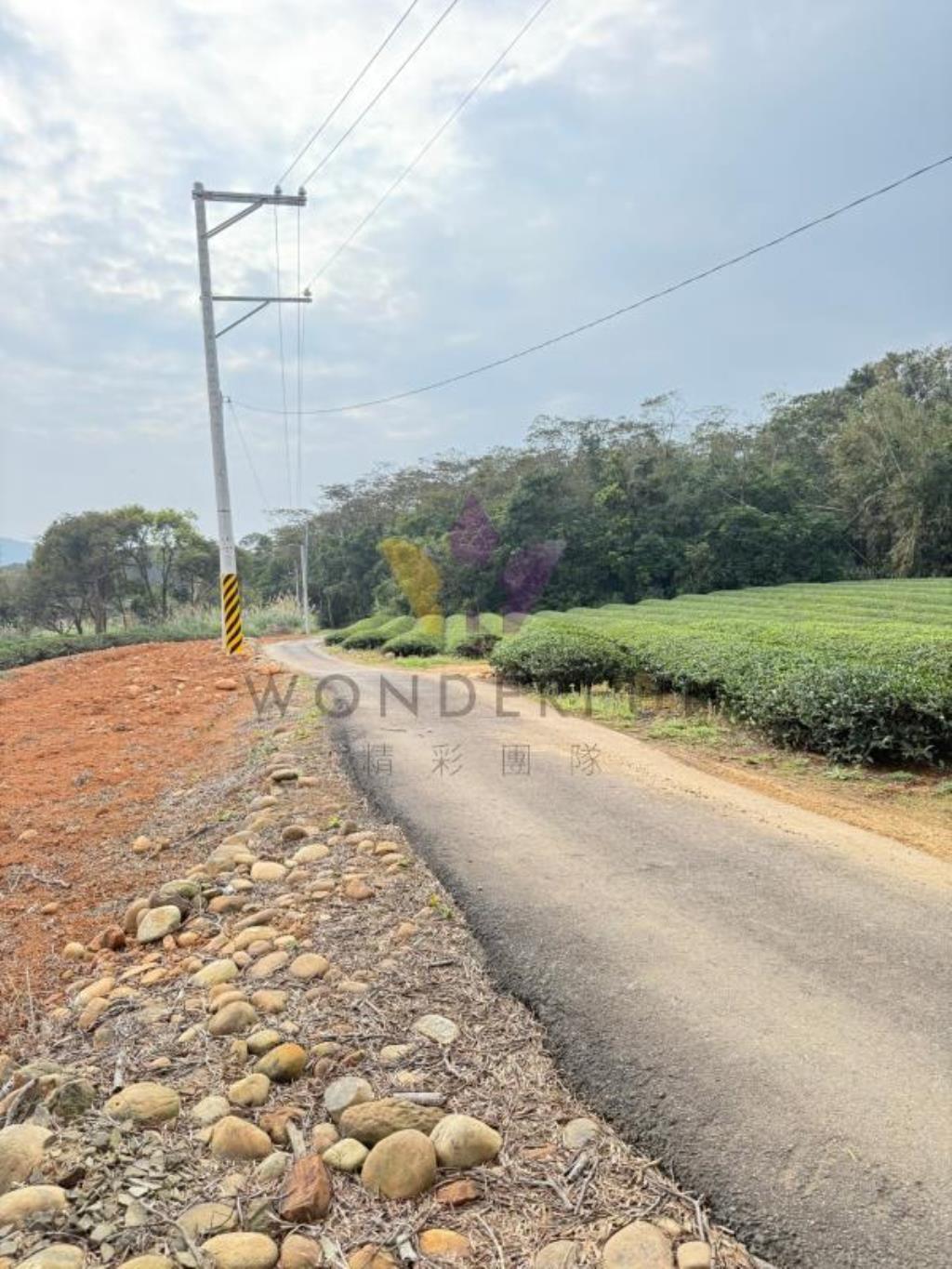 [精彩]龍潭北坑段茶園