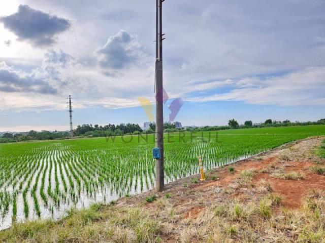 [精彩]福龍路旁農地