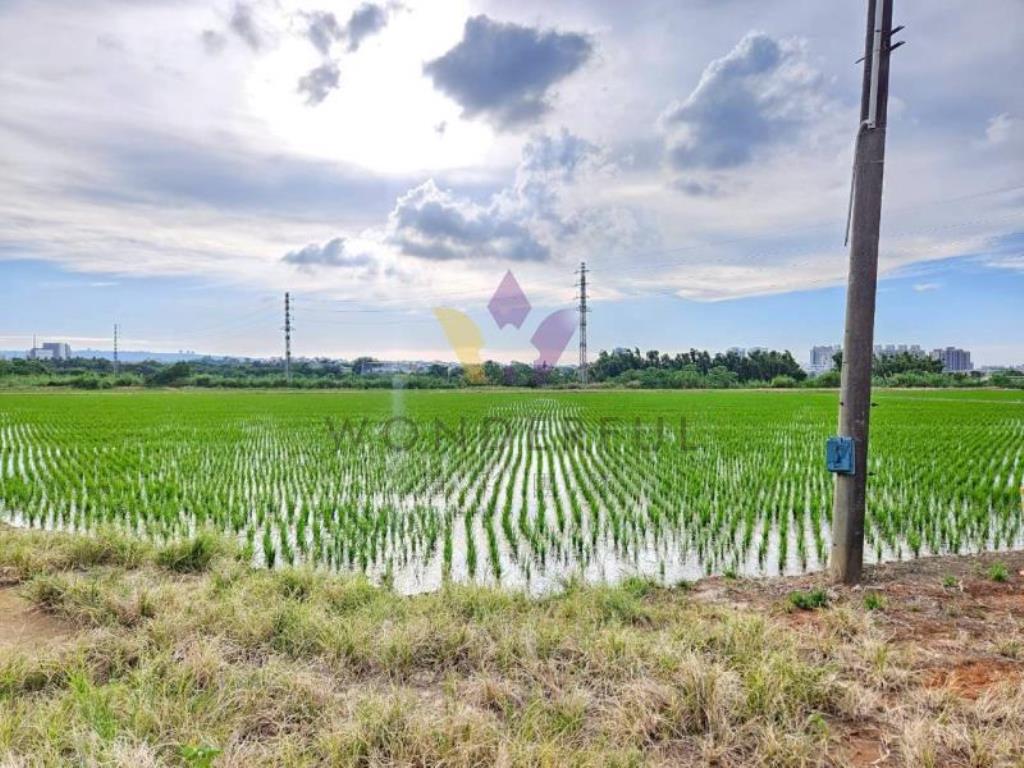 [精彩]福龍路旁農地