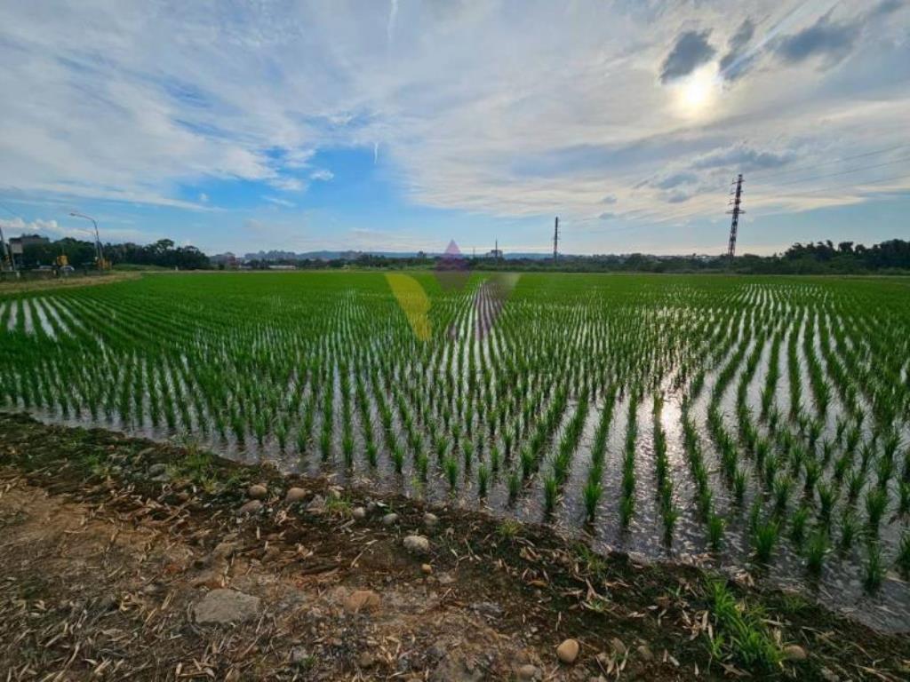 [精彩]福龍路旁農地