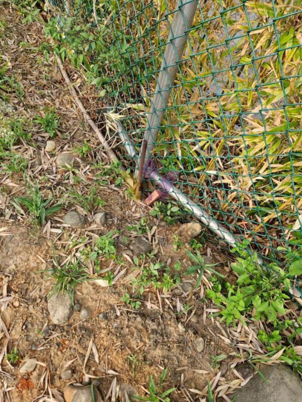 [精彩]福龍路旁農地