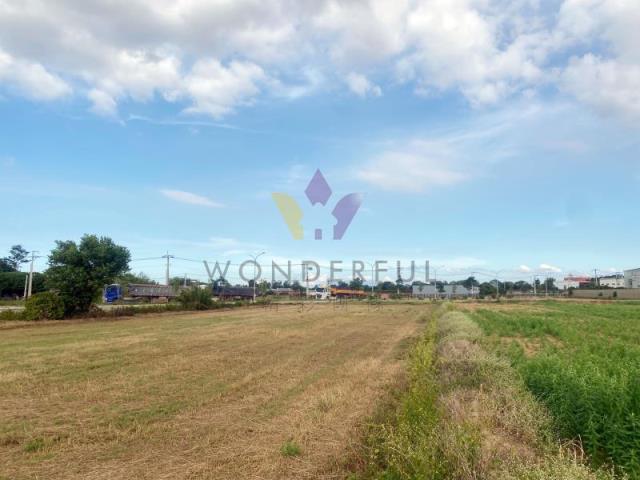 [精彩]觀音月桃路二段美田