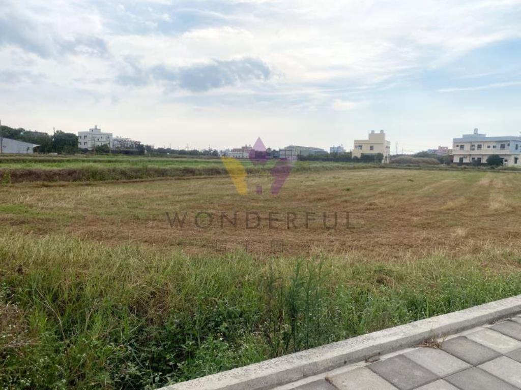 [精彩]觀音月桃路二段美田