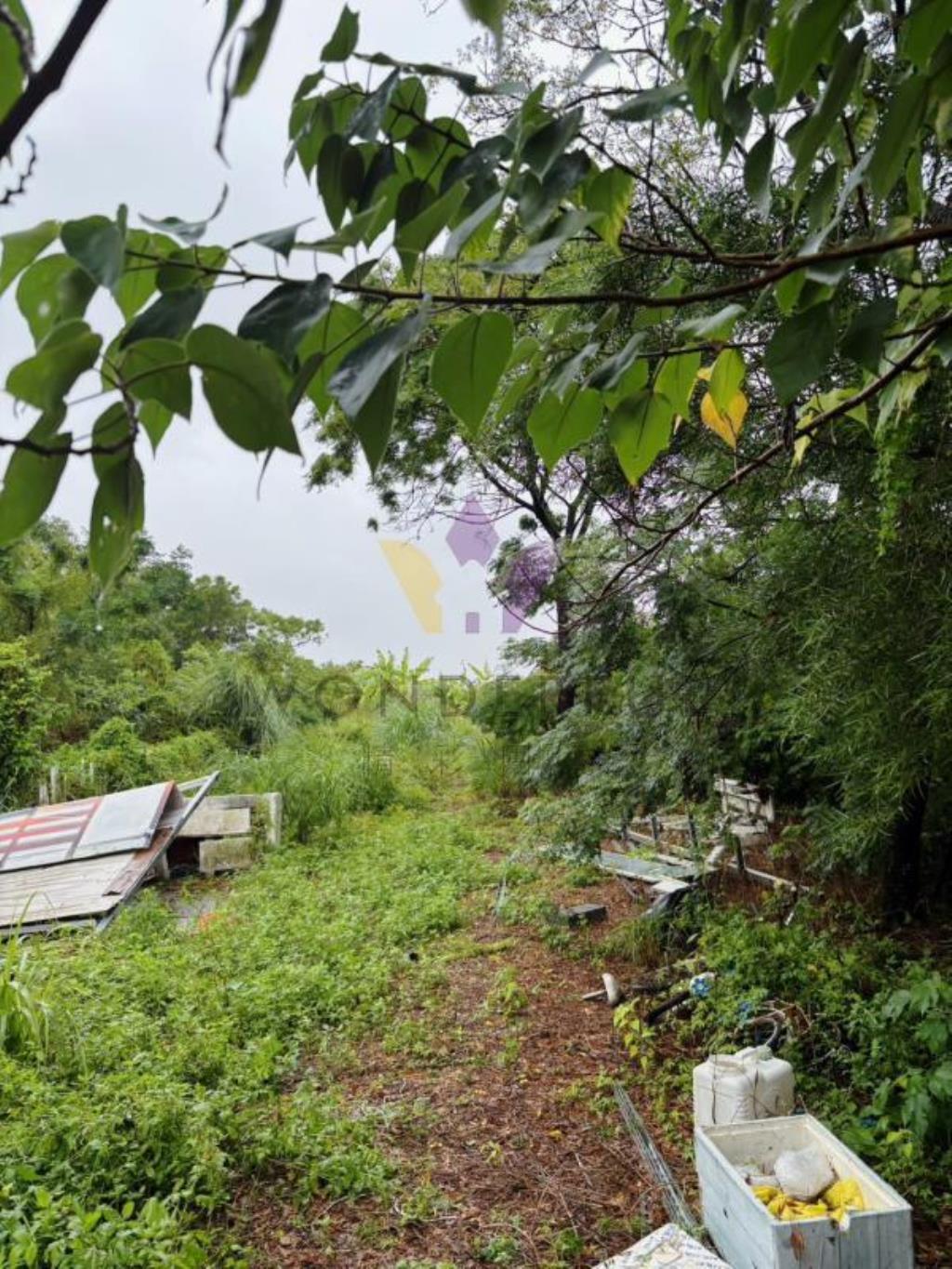 [精彩](租)高鐵南路七段甲建