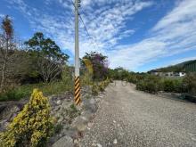 E內灣計畫道路增昌大橋民宿旁財神鄰居美農