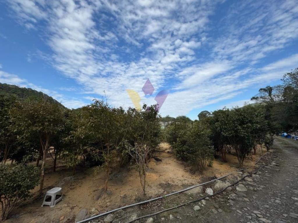 E內灣計畫道路增昌大橋民宿旁財神鄰居美農