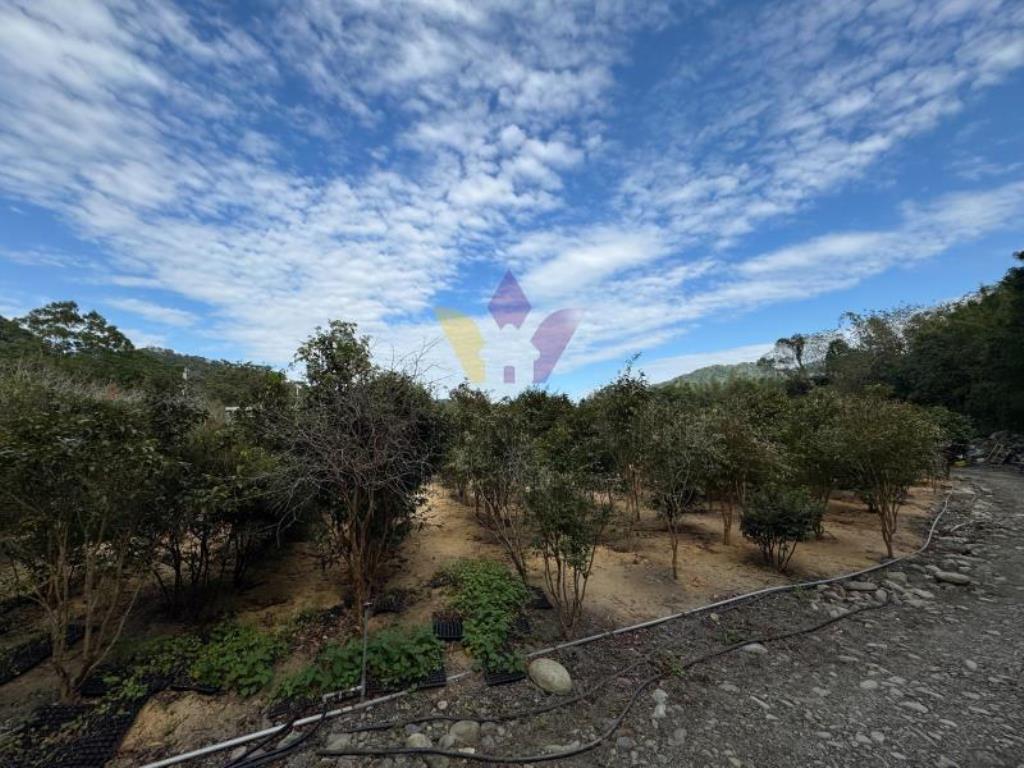 E內灣計畫道路增昌大橋民宿旁財神鄰居美農