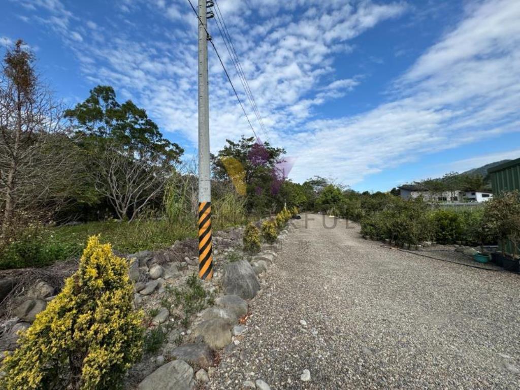 D內灣計畫道路增昌大橋民宿旁財神鄰居美農