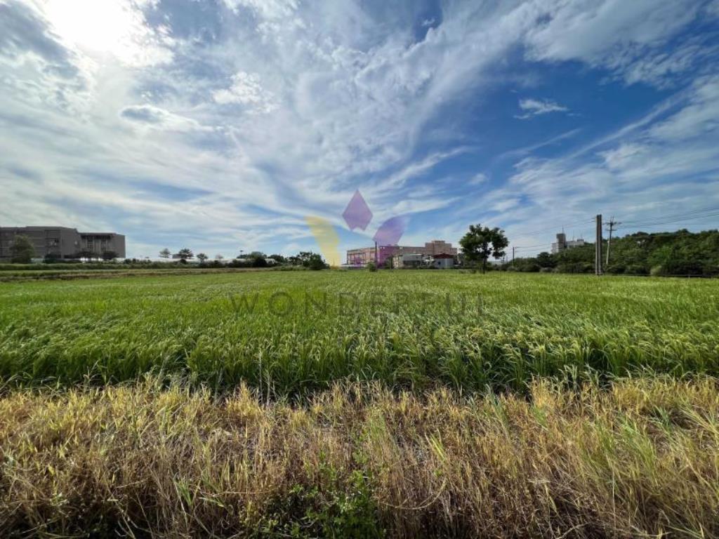 [精彩]富岡火車站都計旁黃金三角千坪農地
