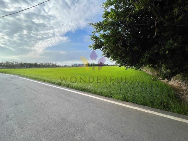 [精彩]新屋九斗村千坪臨路美農地