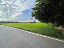 [精彩]新屋九斗村千坪臨路美農地