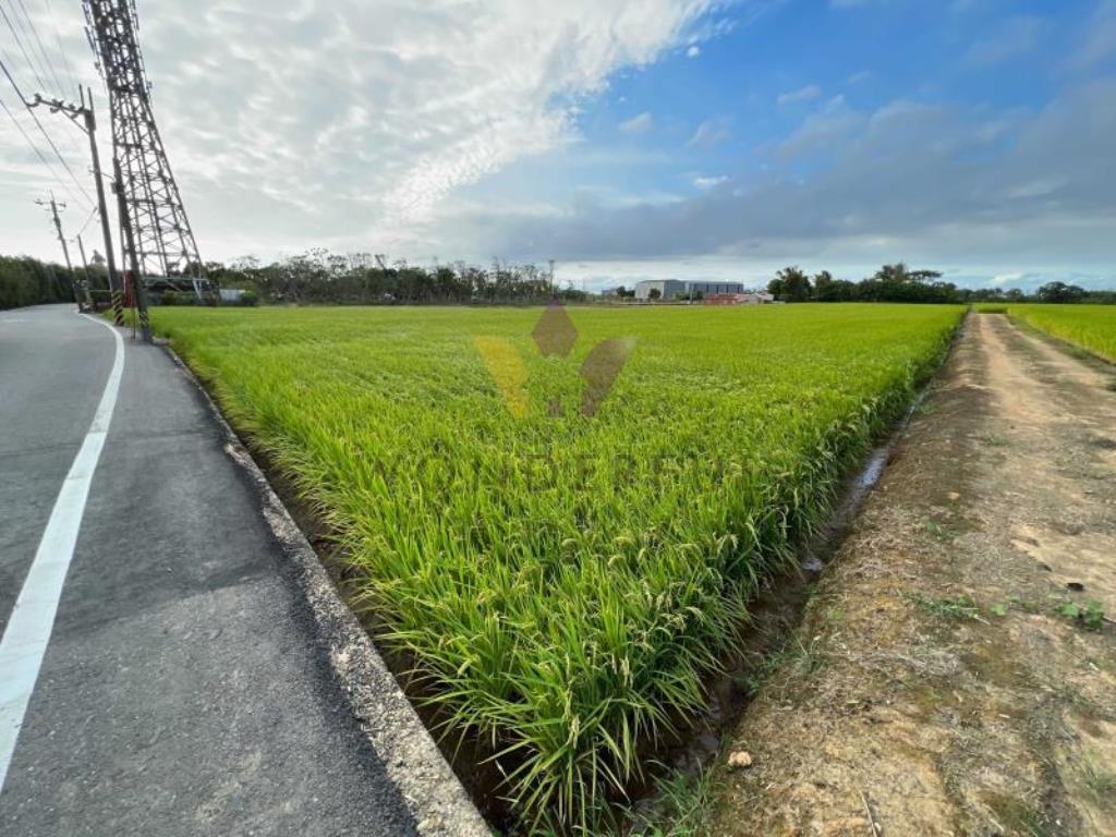 [精彩]新屋九斗村千坪臨路美農地