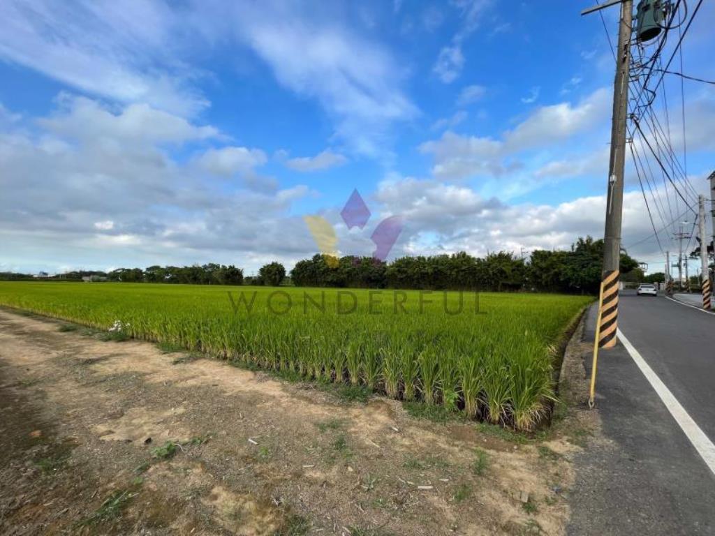 [精彩]新屋九斗村千坪臨路美農地