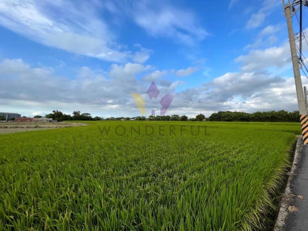 [精彩]新屋九斗村千坪臨路美農地