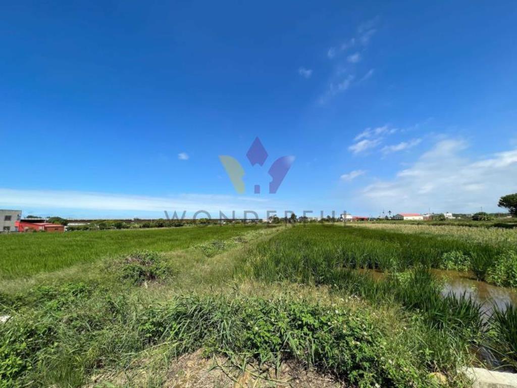 [精彩]新屋九斗村千坪臨路美農地