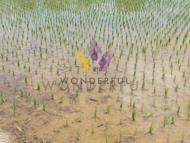 [精彩]近永安國小1757農+建