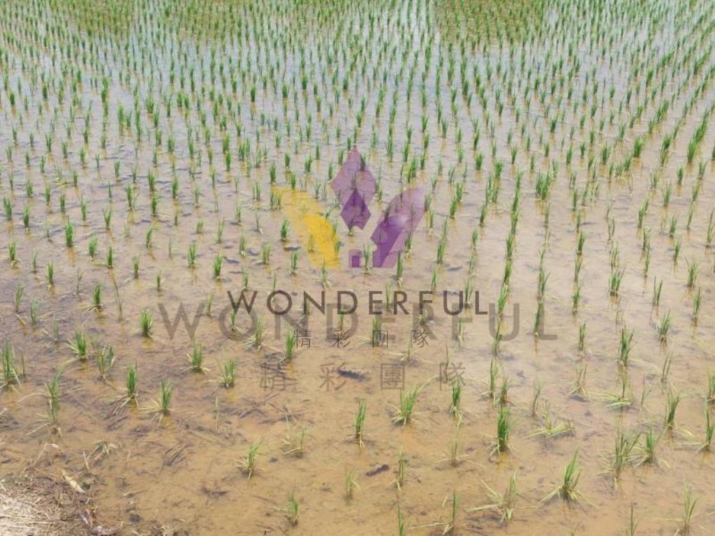 [精彩]近永安國小1757農+建