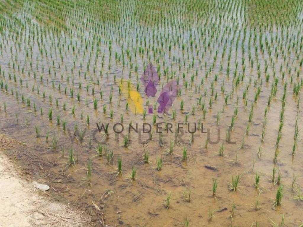 [精彩]近永安國小1757農+建