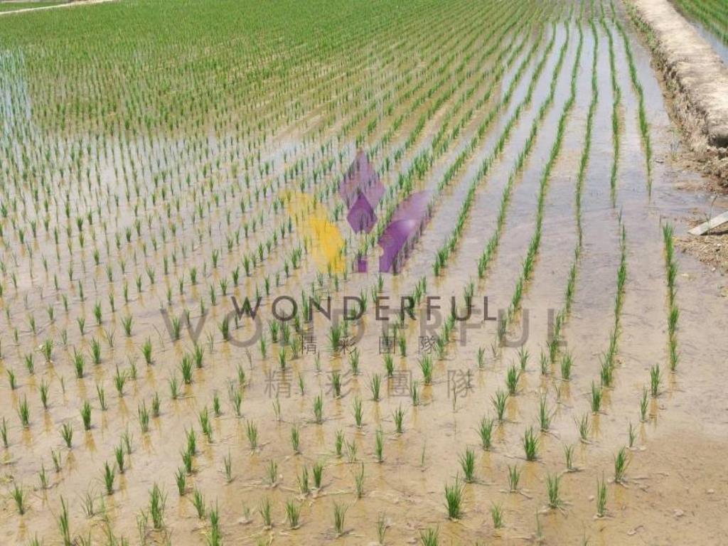 [精彩]近永安國小1757農+建