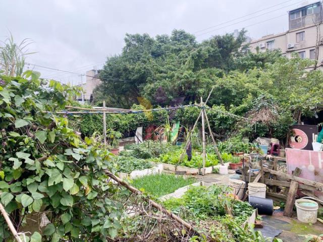 [精彩]央大小坪數建地