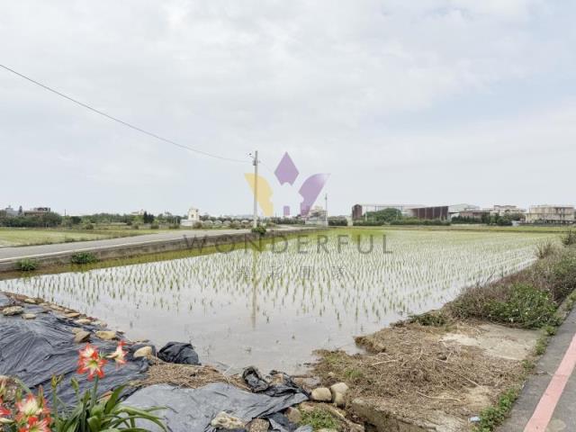 [精彩]育仁國小雙面臨路角地