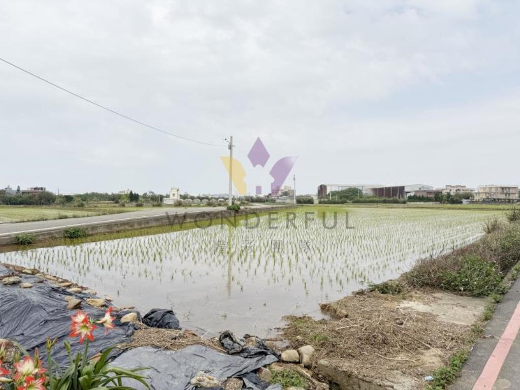 [精彩]育仁國小雙面臨路角地