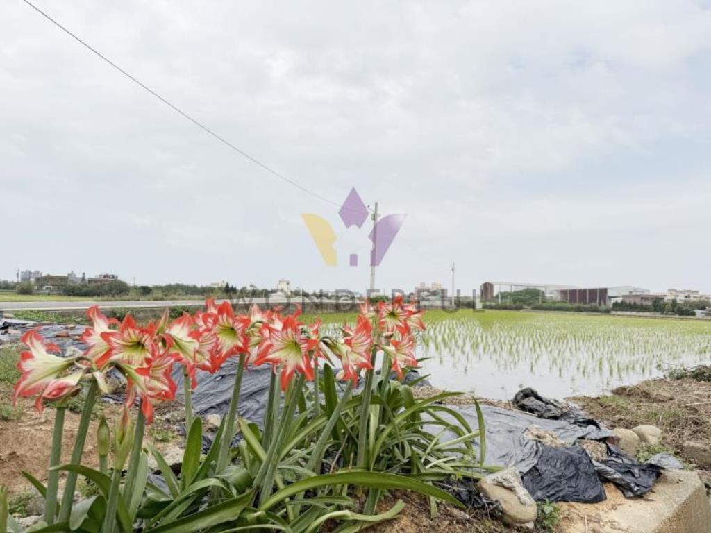 [精彩]育仁國小雙面臨路角地