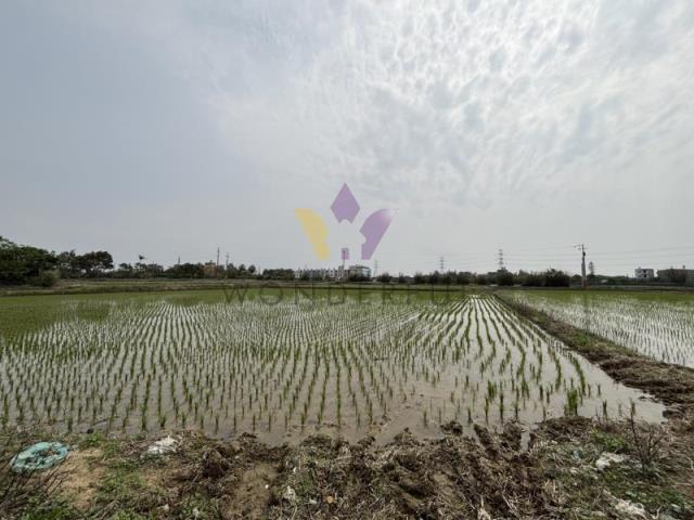 [精彩]觀音雙面臨路特農