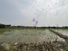 [精彩]觀音雙面臨路特農