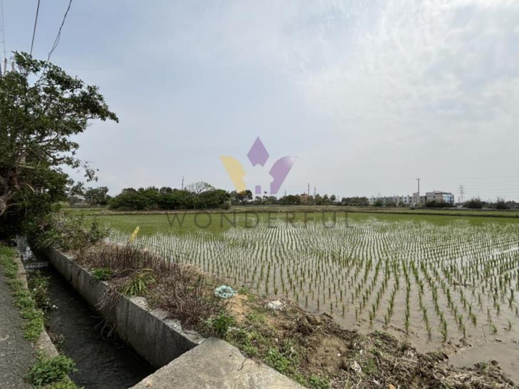 [精彩]觀音雙面臨路特農