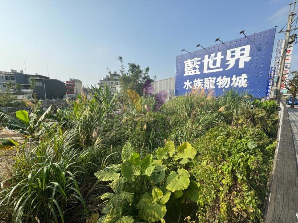 [精彩]龍潭區上林段低價位增值都內農地