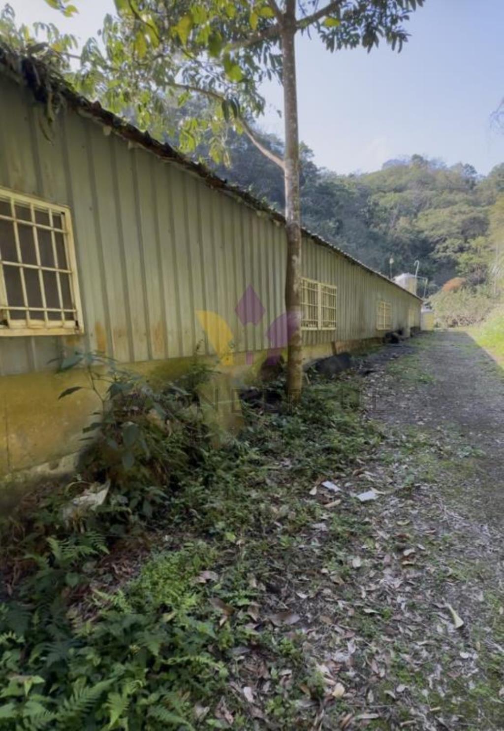 超大1251坪！橫山鄉下大窩段現場果樹農