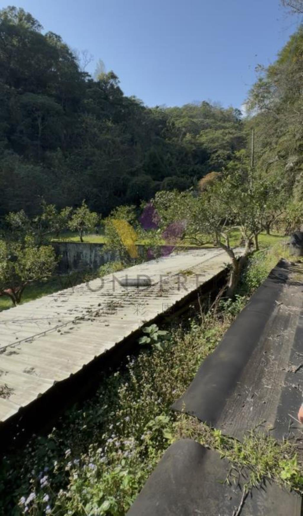 超大1251坪！橫山鄉下大窩段現場果樹農