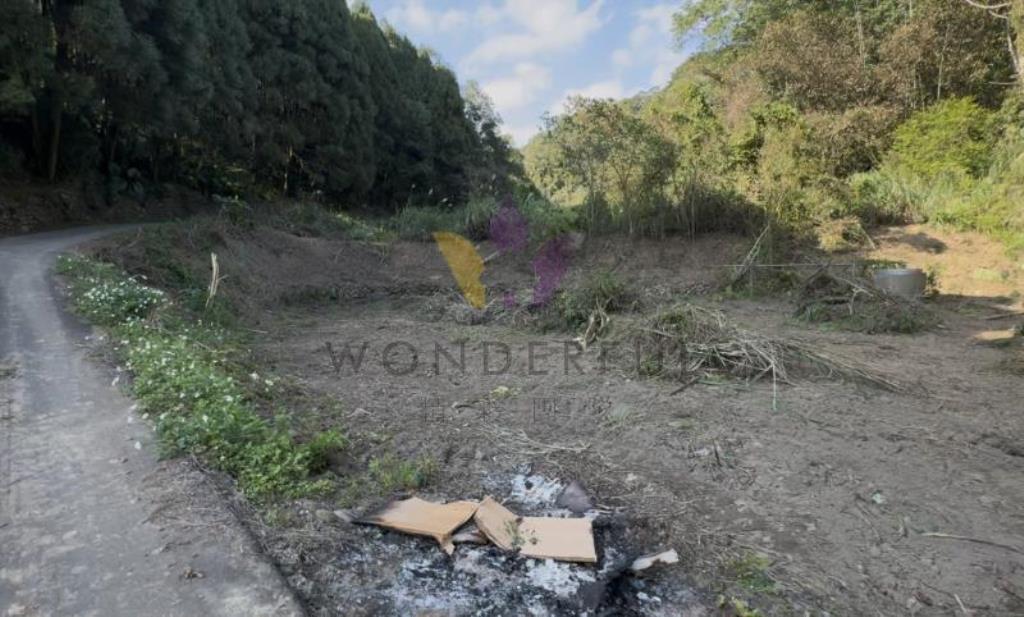 橫山鄉下大窩段2606坪保育區農地